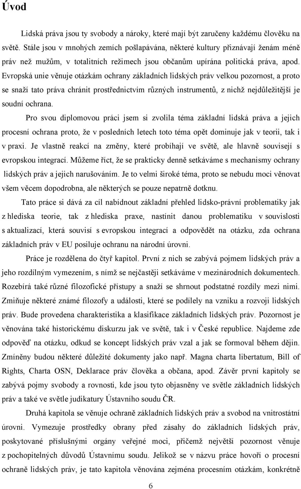 Evropská unie věnuje otázkám ochrany základních lidských práv velkou pozornost, a proto se snaţí tato práva chránit prostřednictvím různých instrumentů, z nichţ nejdůleţitější je soudní ochrana.