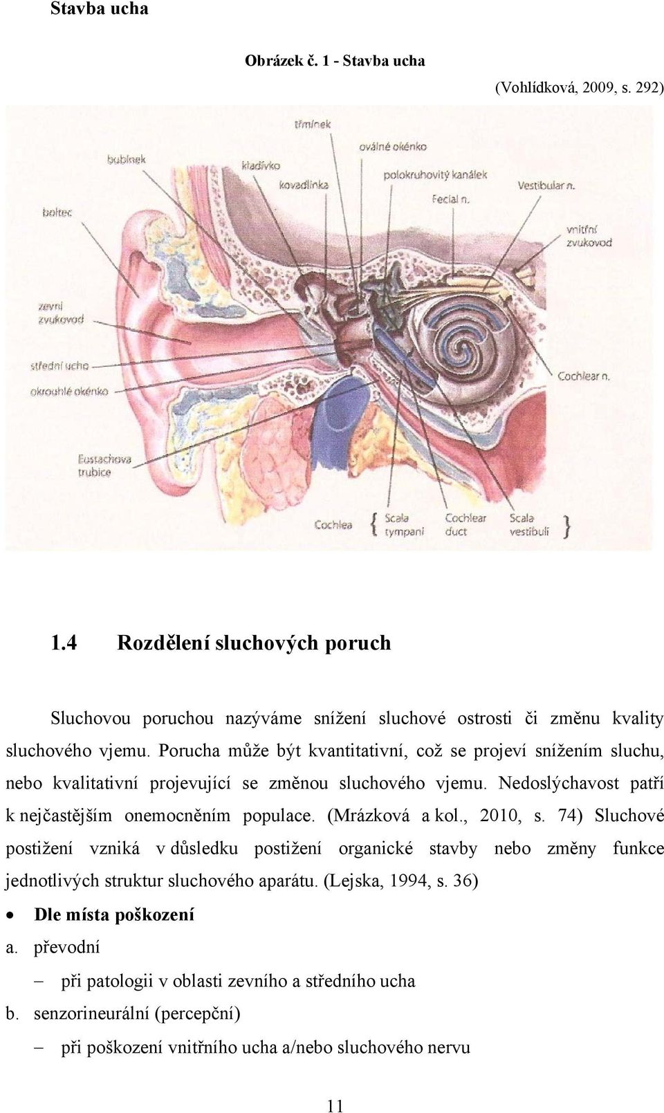 Porucha může být kvantitativní, což se projeví snížením sluchu, nebo kvalitativní projevující se změnou sluchového vjemu.