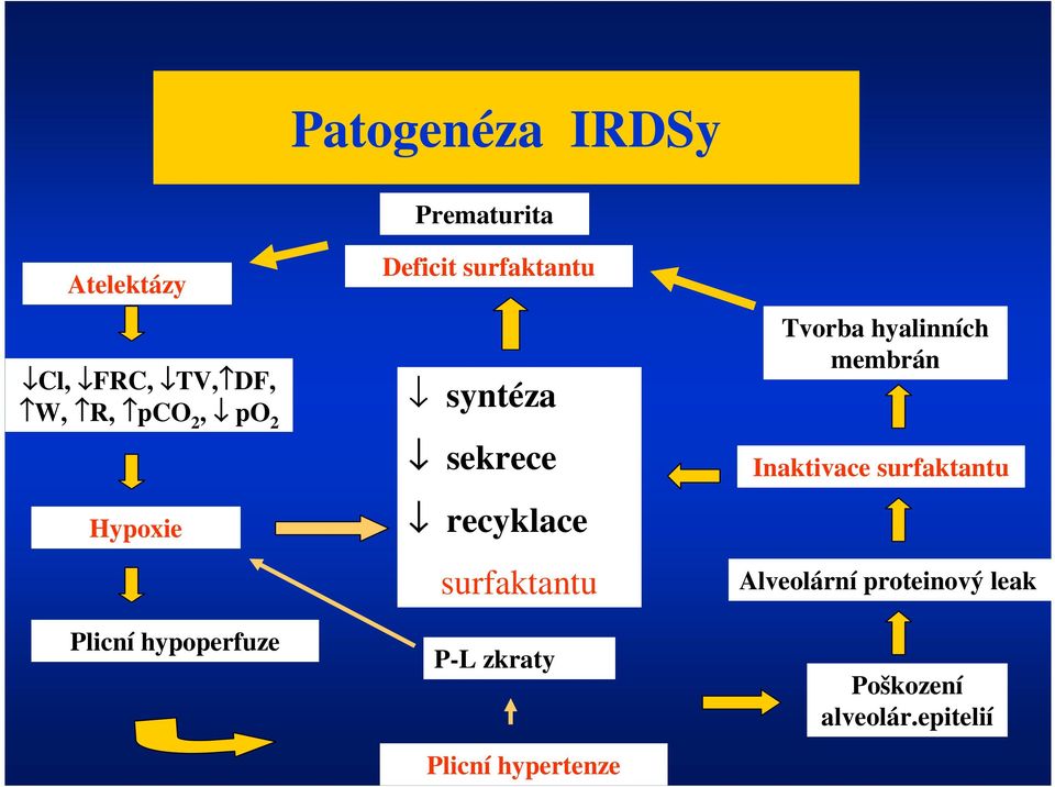 recyklace surfaktantu P-L zkraty Plicní hypertenze Tvorba hyalinních