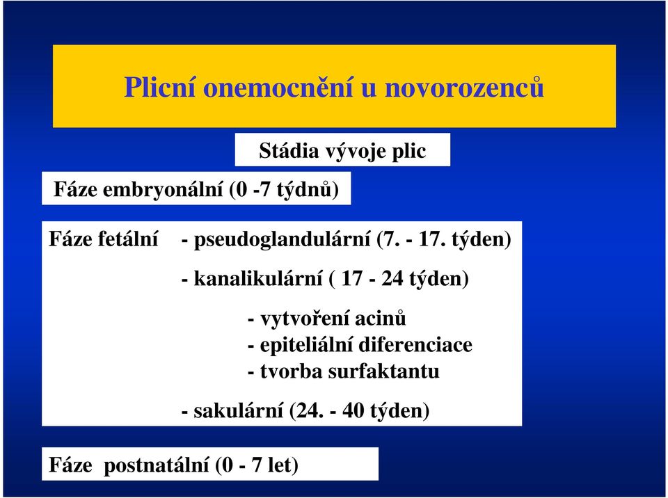 týden) - kanalikulární ( 17-24 týden) - vytvoření acinů - epiteliální