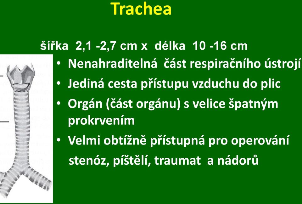 plic Orgán (část orgánu) s velice špatným prokrvením Velmi