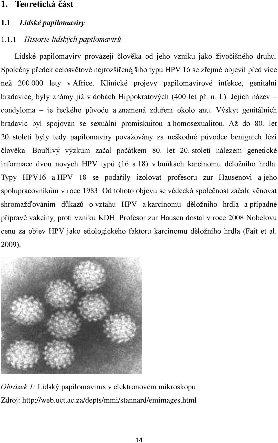 Klinické projevy papilomavirové infekce, genitální bradavice, byly známy již v dobách Hippokratových (400 let př. n. l.). Jejich název condyloma je řeckého původu a znamená zduření okolo anu.