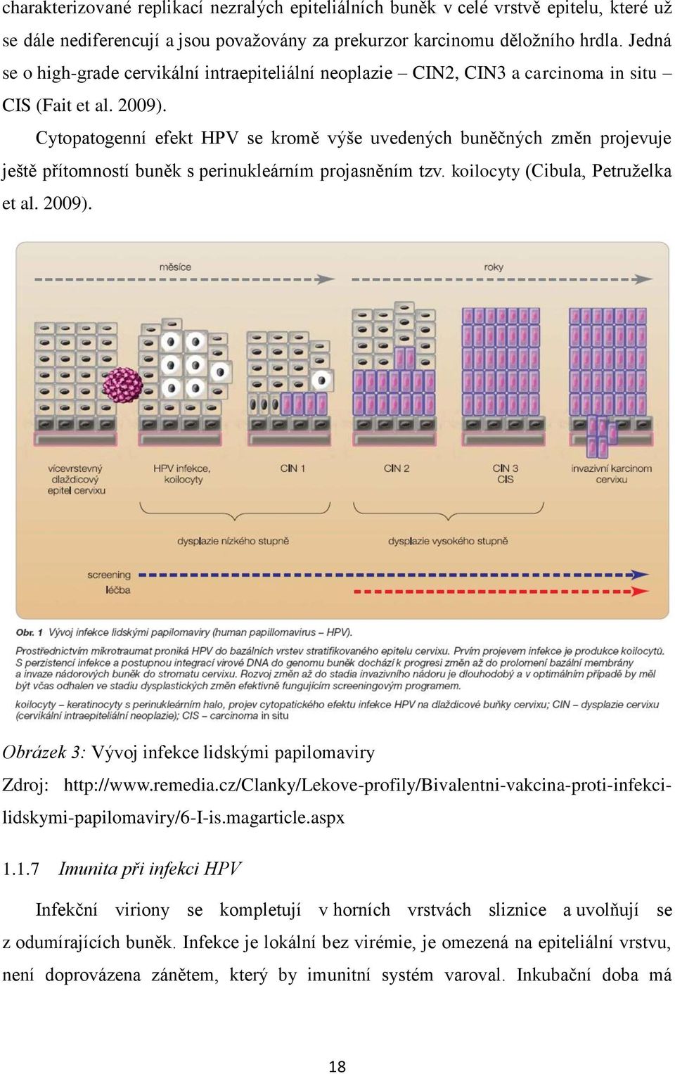 Cytopatogenní efekt HPV se kromě výše uvedených buněčných změn projevuje ještě přítomností buněk s perinukleárním projasněním tzv. koilocyty (Cibula, Petruželka et al. 2009).