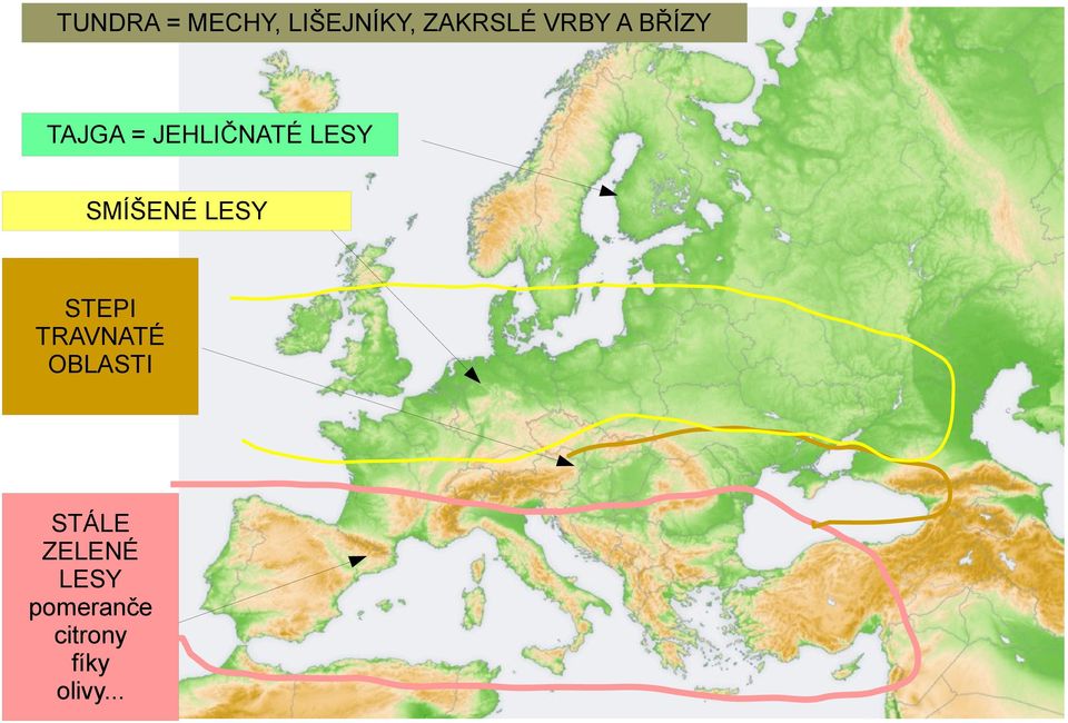 LESY STEPI TRAVNATÉ OBLASTI STÁLE