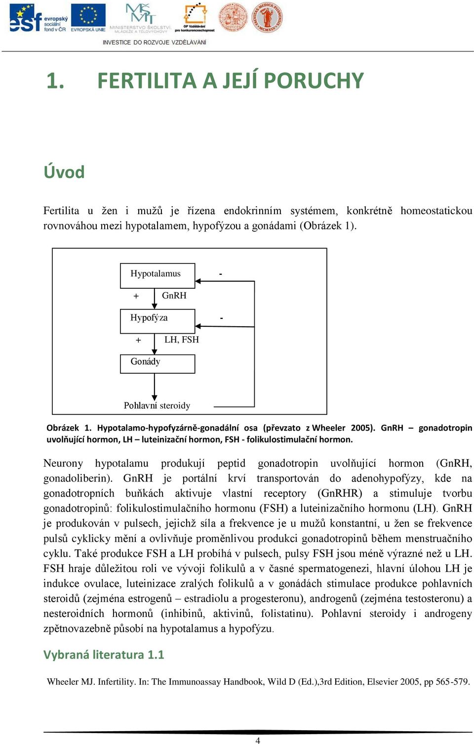 GnRH gonadotropin uvolňující hormon, LH luteinizační hormon, FSH - folikulostimulační hormon. Neurony hypotalamu produkují peptid gonadotropin uvolňující hormon (GnRH, gonadoliberin).