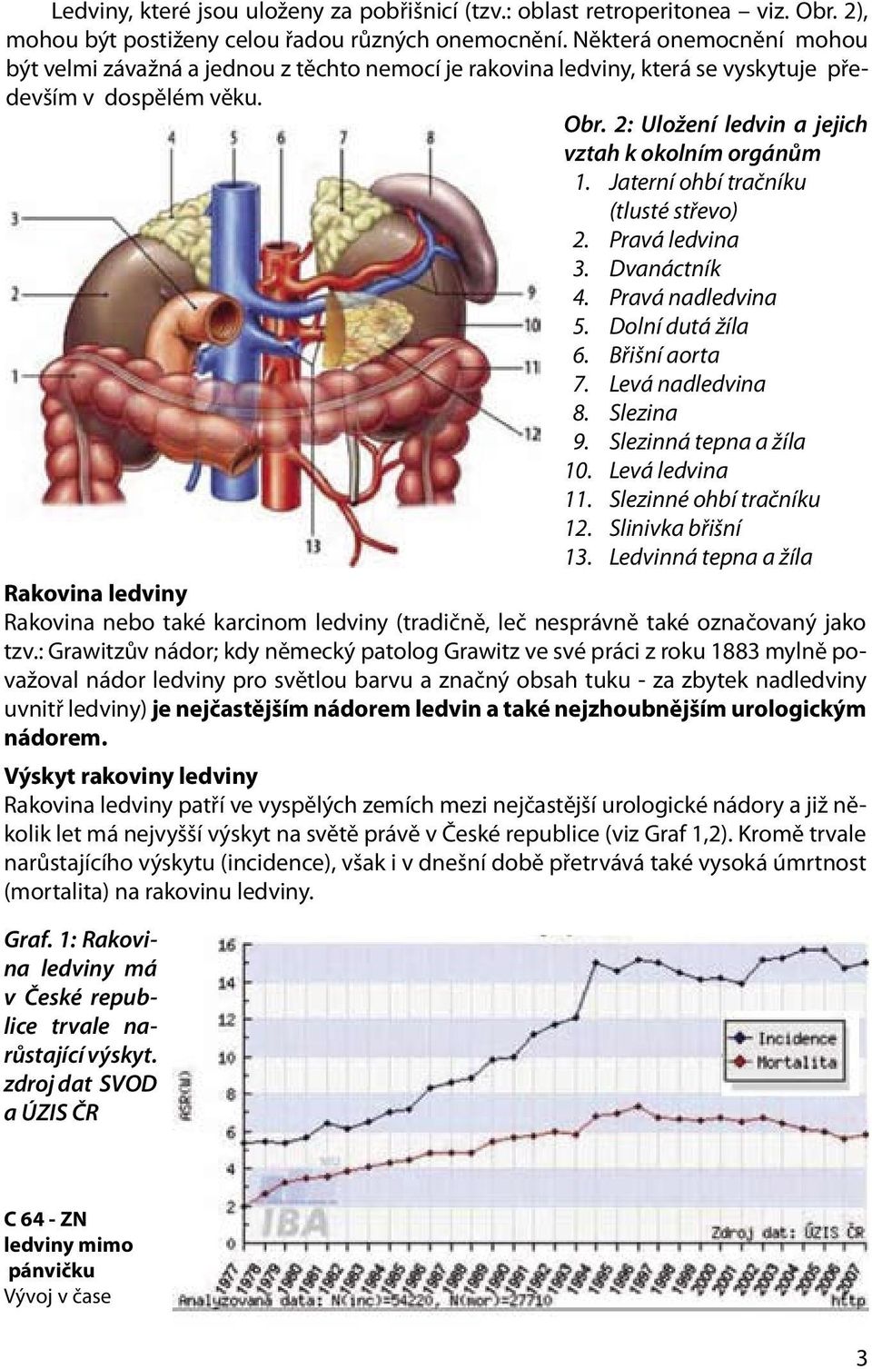 Jaterní ohbí tračníku (tlusté střevo) 2. Pravá ledvina 3. Dvanáctník 4. Pravá nadledvina 5. Dolní dutá žíla 6. Břišní aorta 7. Levá nadledvina 8. Slezina 9. Slezinná tepna a žíla 10. Levá ledvina 11.