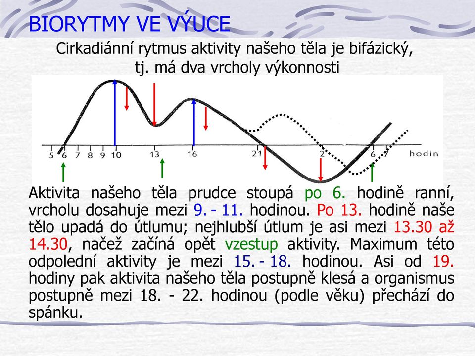 hodině naše tělo upadá do útlumu; nejhlubší útlum je asi mezi 13.30 až 14.30, načež začíná opět vzestup aktivity.