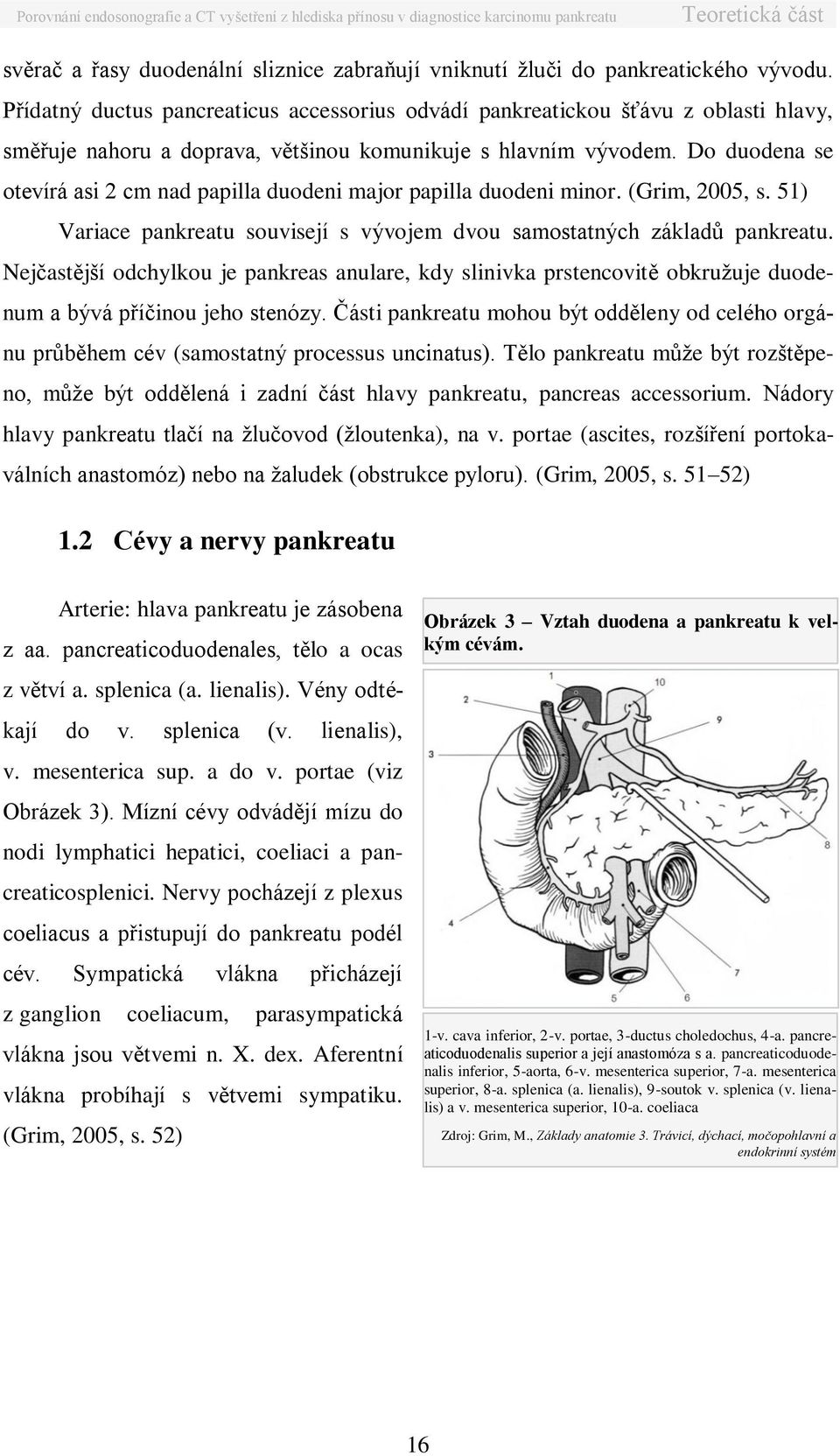 Do duodena se otevírá asi 2 cm nad papilla duodeni major papilla duodeni minor. (Grim, 2005, s. 51) Variace pankreatu souvisejí s vývojem dvou samostatných základů pankreatu.