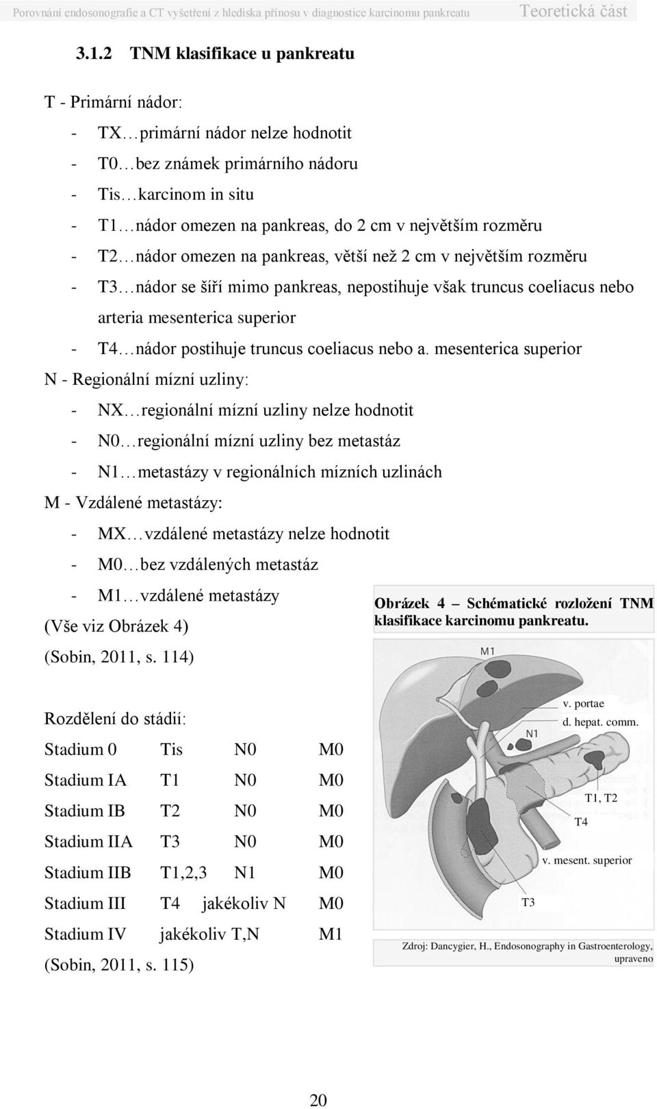 rozměru - T2 nádor omezen na pankreas, větší než 2 cm v největším rozměru - T3 nádor se šíří mimo pankreas, nepostihuje však truncus coeliacus nebo arteria mesenterica superior - T4 nádor postihuje