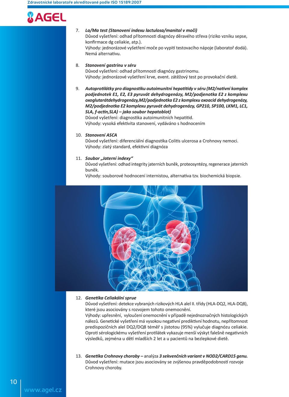 Autoprotilátky pro diagnostiku autoimunitní hepatitidy v séru (M2/nativní komplex podjednotek E1, E2, E3 pyruvát dehydrogenázy, M2/podjenotka E2 z komplexu oxoglutarátdehydrogenázy,m2/podjednotka E2