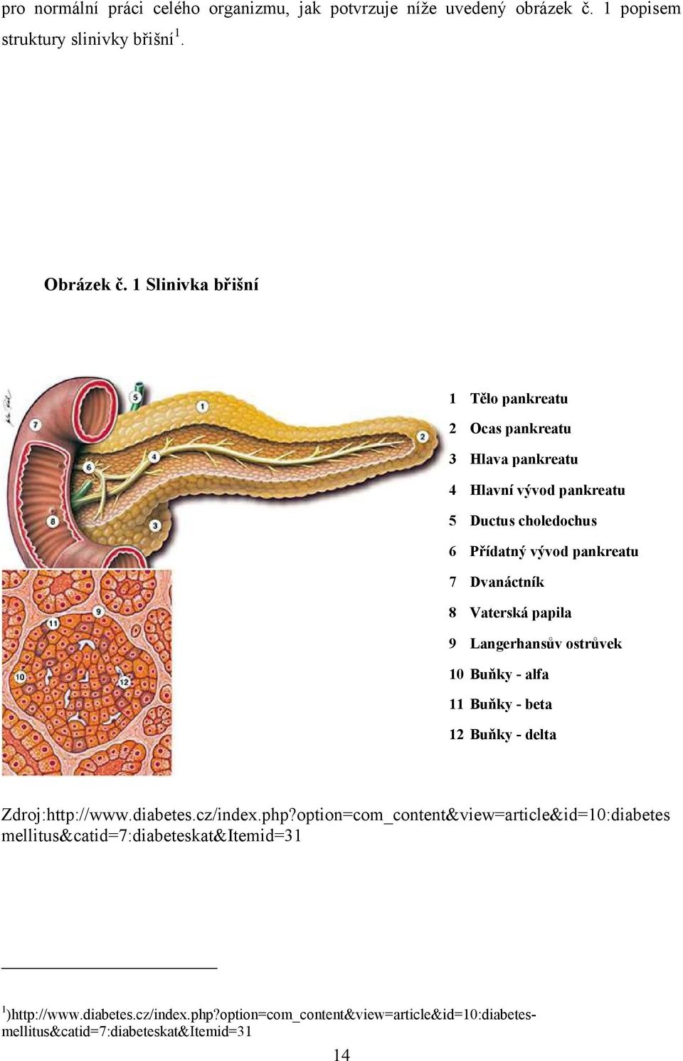 Dvanáctník 8 Vaterská papila 9 Langerhansův ostrůvek 10 Buňky - alfa 11 Buňky - beta 12 Buňky - delta Zdroj:http://www.diabetes.cz/index.php?