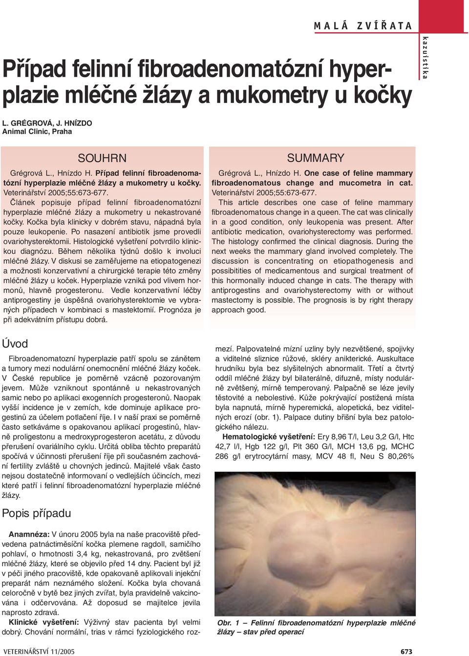 Může vzniknout spontánně u nekastrovaných samic nebo po aplikaci exogenních progesteronů. Naopak vyšší incidence je v zemích, kde dominuje aplikace progestinů za účelem potlačení říje.