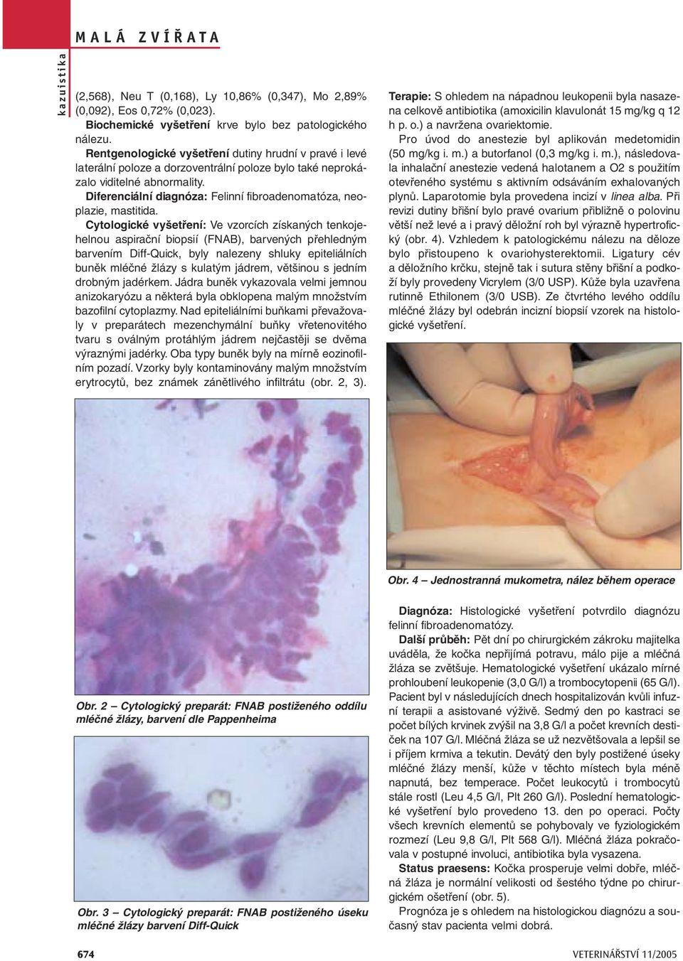 Diferenciální diagnóza: Felinní fibroadenomatóza, neoplazie, mastitida.