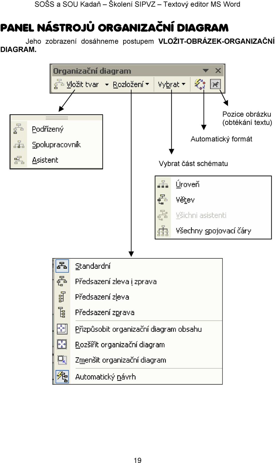 VLOŽIT-OBRÁZEK-ORGANIZAČNÍ DIAGRAM.