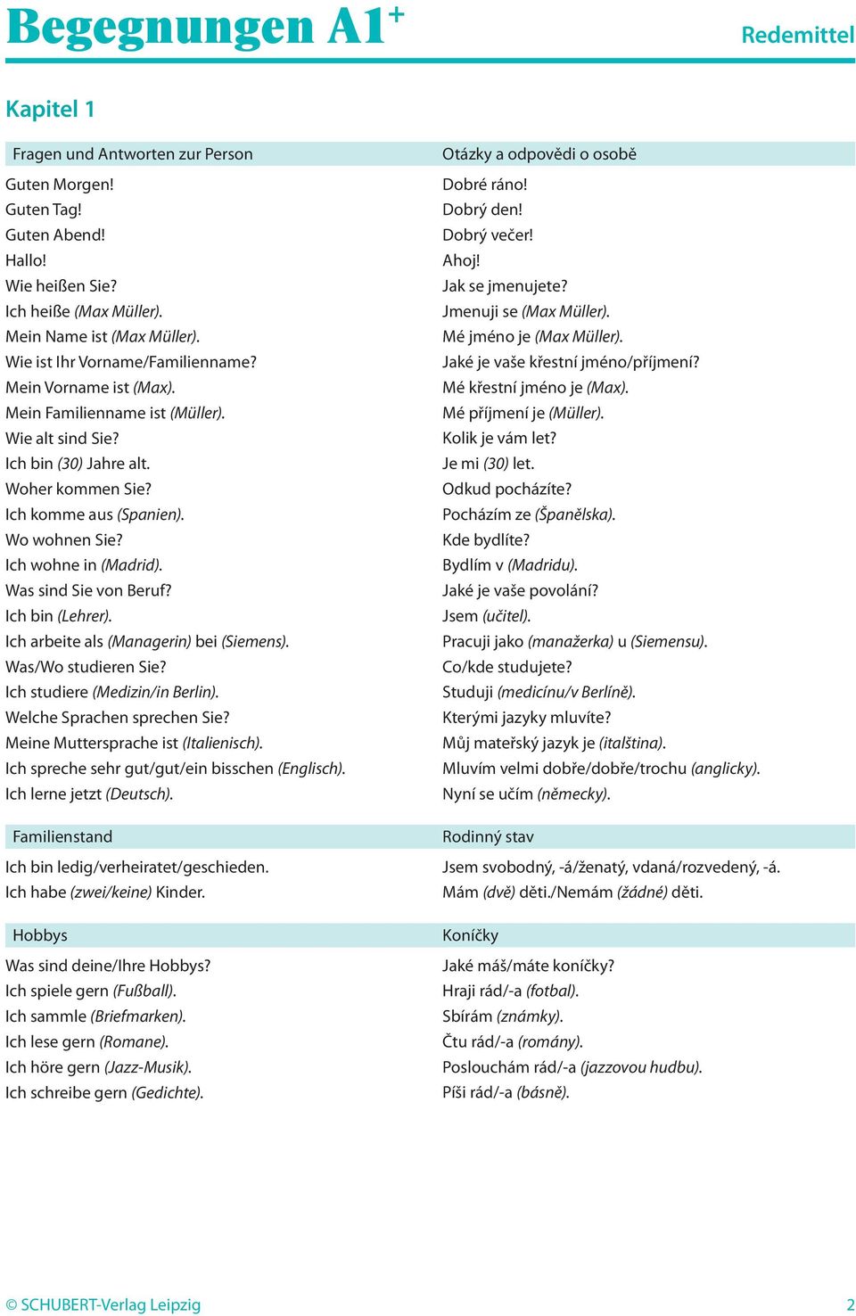 Was sind Sie von Beruf? Ich bin (Lehrer). Ich arbeite als (Managerin) bei (Siemens). Was/Wo studieren Sie? Ich studiere (Medizin/in Berlin). Welche Sprachen sprechen Sie?