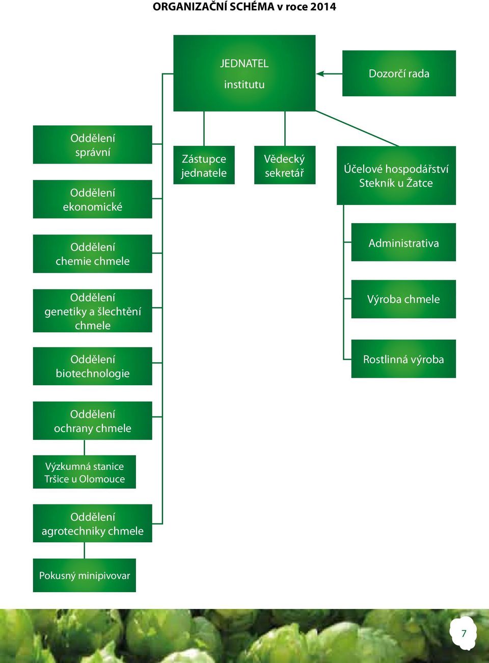 Administrativa Oddělení genetiky a šlechtění chmele Výroba chmele Oddělení biotechnologie Rostlinná