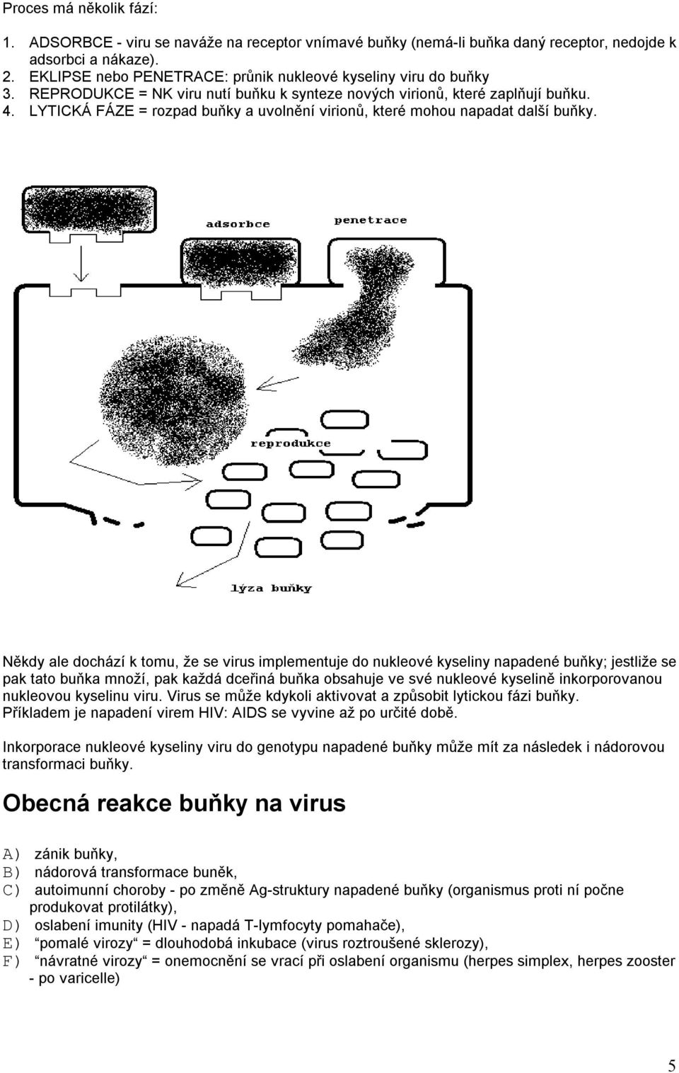 LYTICKÁ FÁZE = rozpad buňky a uvolnění virionů, které mohou napadat další buňky.