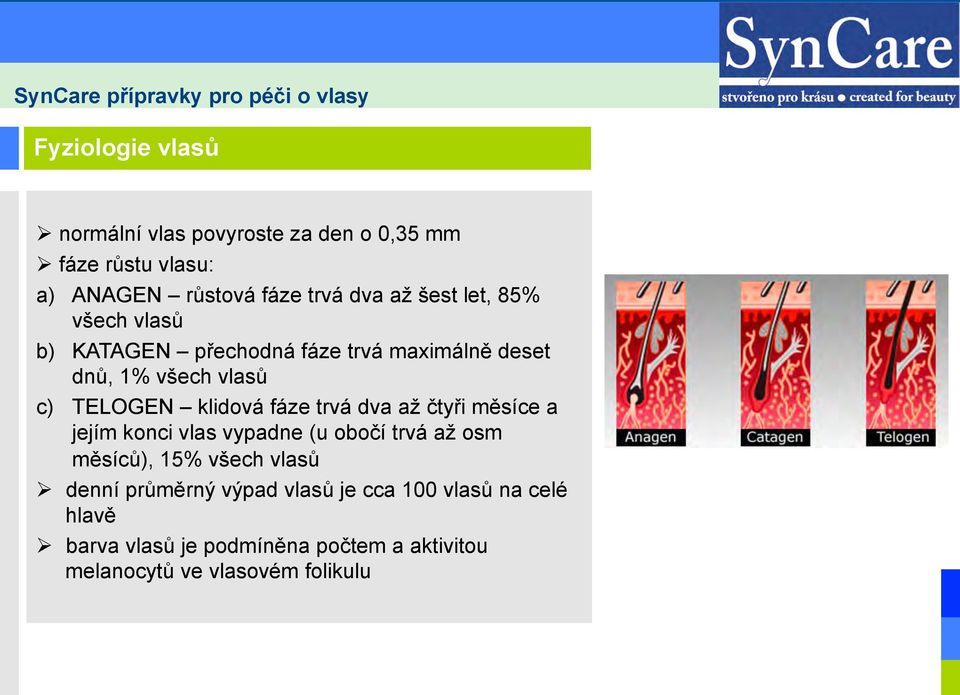 trvá dva až čtyři měsíce a jejím konci vlas vypadne (u obočí trvá až osm měsíců), 15% všech vlasů Ø denní průměrný