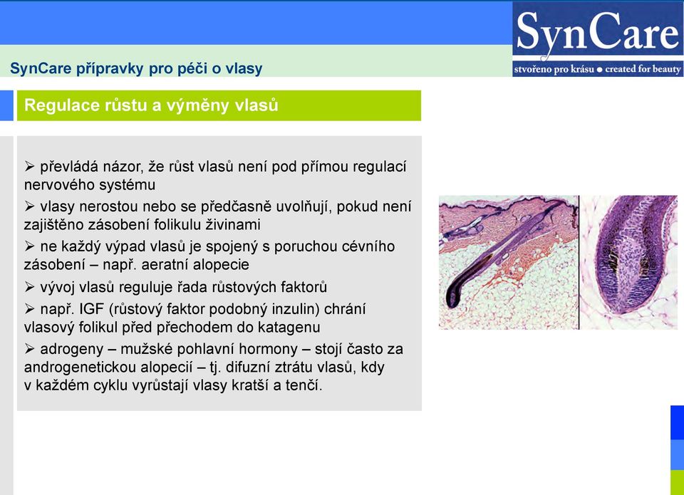 aeratní alopecie Ø vývoj vlasů reguluje řada růstových faktorů Ø např.