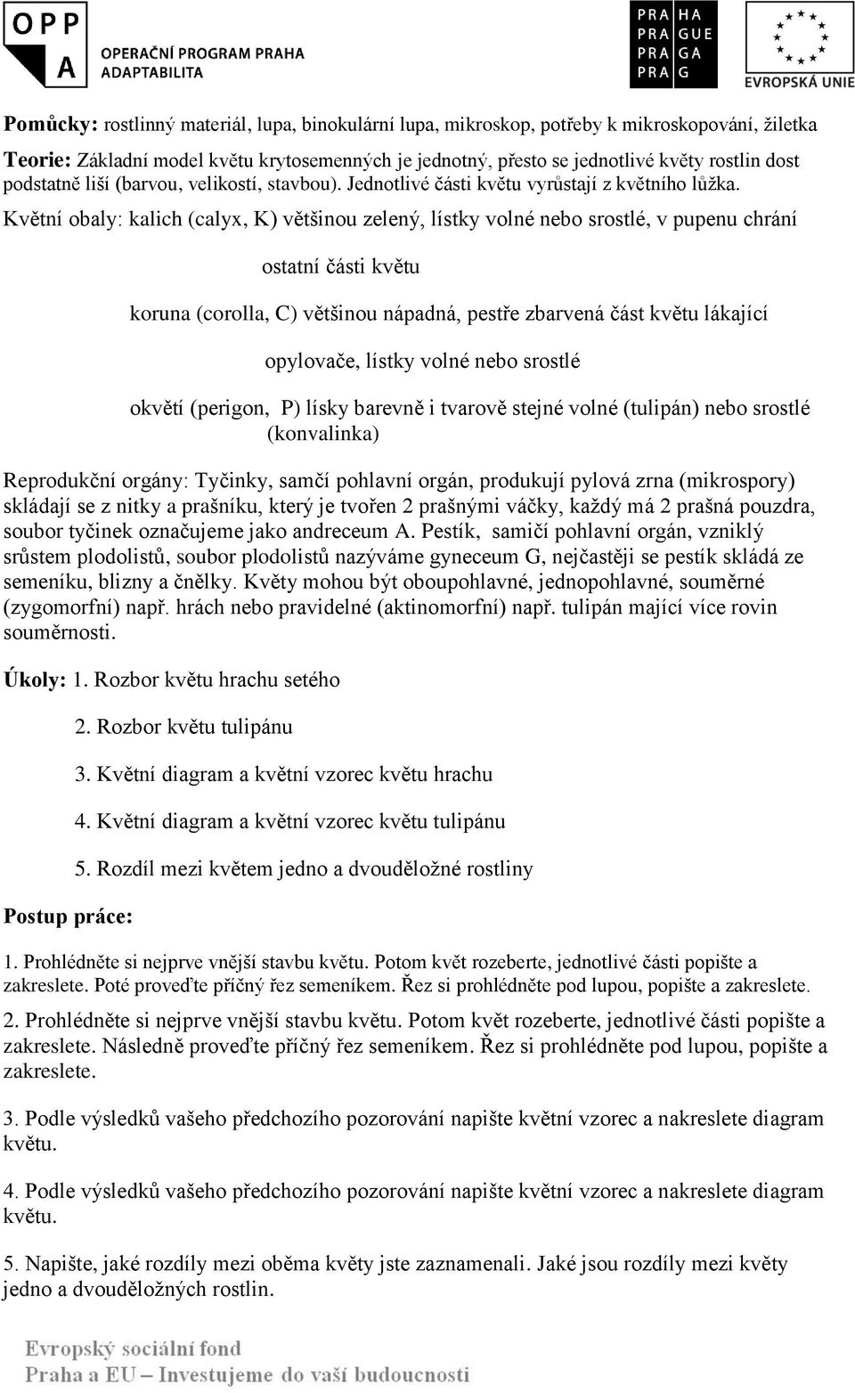 Květní obaly: kalich (calyx, K) většinou zelený, lístky volné nebo srostlé, v pupenu chrání ostatní části květu koruna (corolla, C) většinou nápadná, pestře zbarvená část květu lákající opylovače,