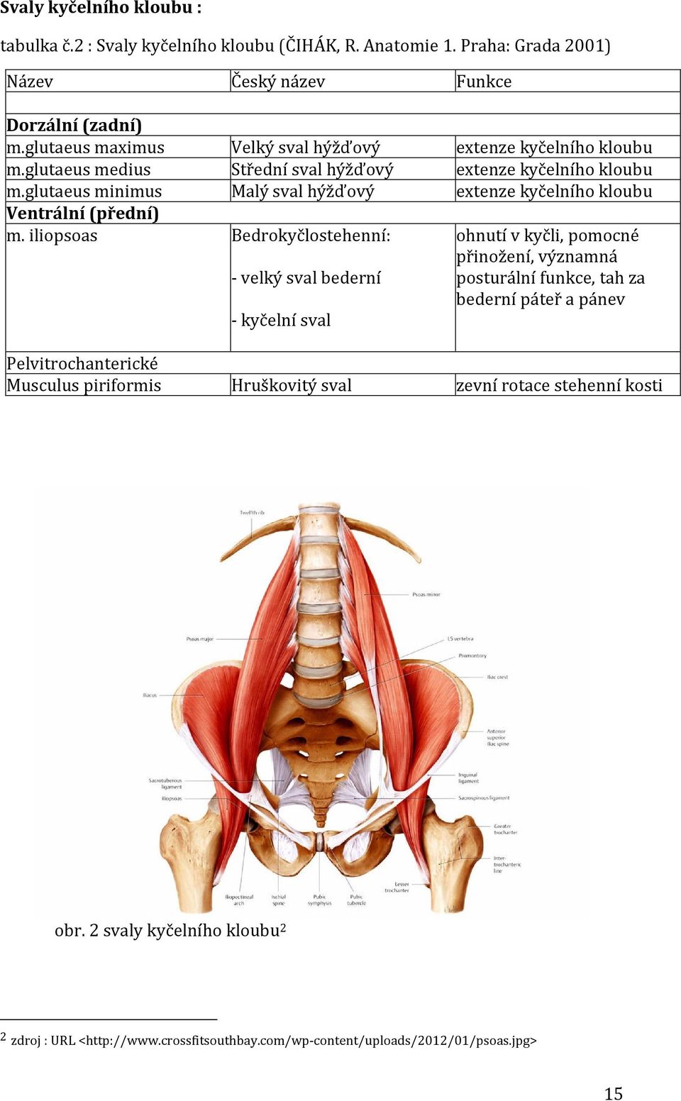 glutaeus minimus Malý sval hýžďový extenze kyčelního kloubu Ventrální (přední) m.