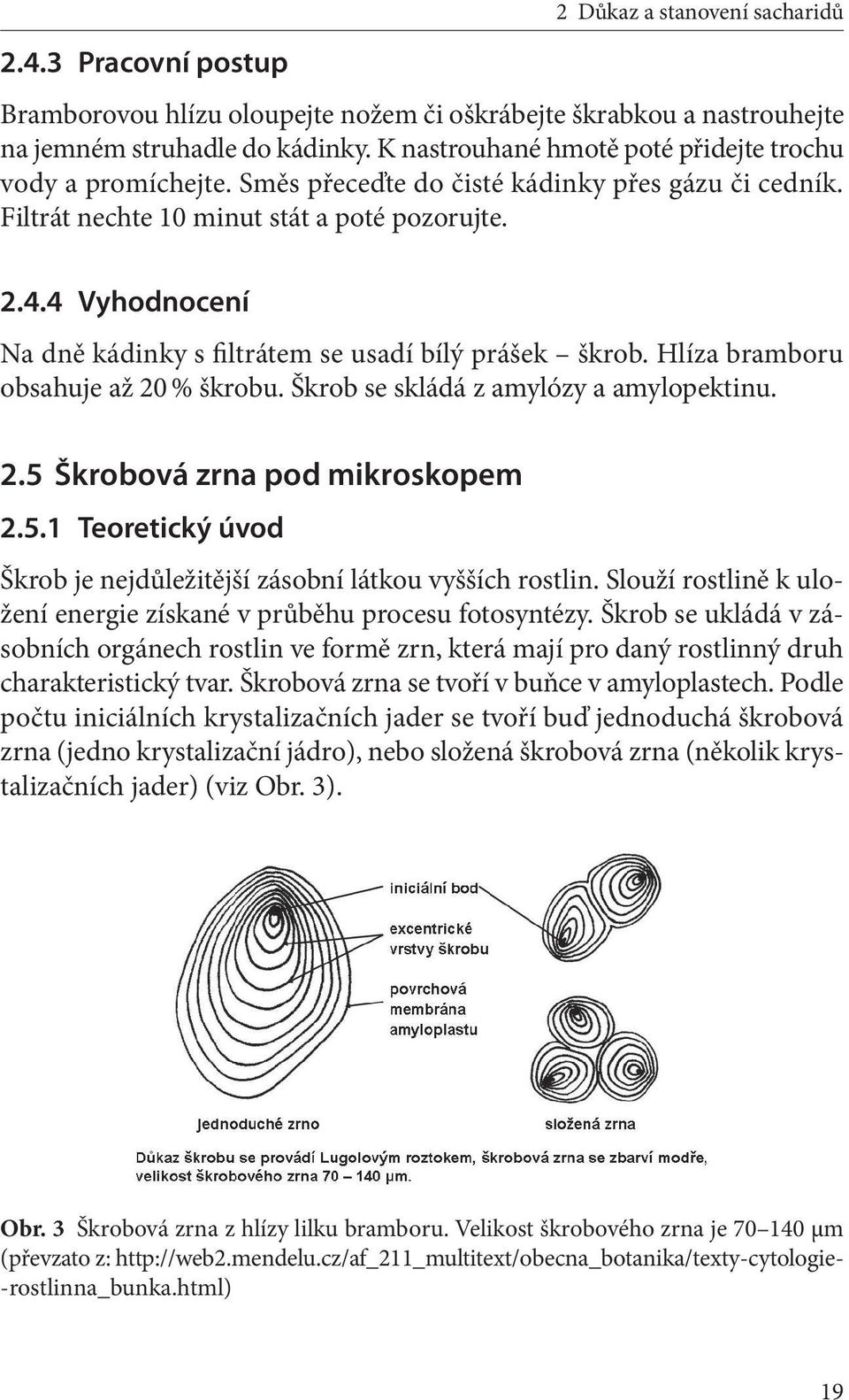 4 Vyhodnocení Na dně kádinky s filtrátem se usadí bílý prášek škrob. Hlíza bramboru obsahuje až 20 % škrobu. Škrob se skládá z amylózy a amylopektinu. 2.5 