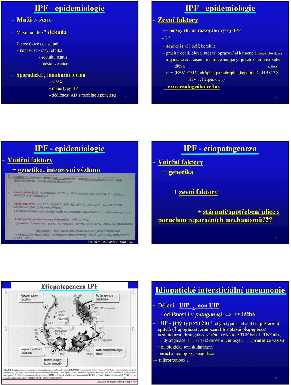 ? - kouření (>20 balíčkoroků) - prach z oceli, olova, mosaz, opracování kamene ( x pneumokonioza) - organické živočišné i rostlinné antigeny, prach z borovicového dřeva ( x EAA) - viry (EBV, CMV,