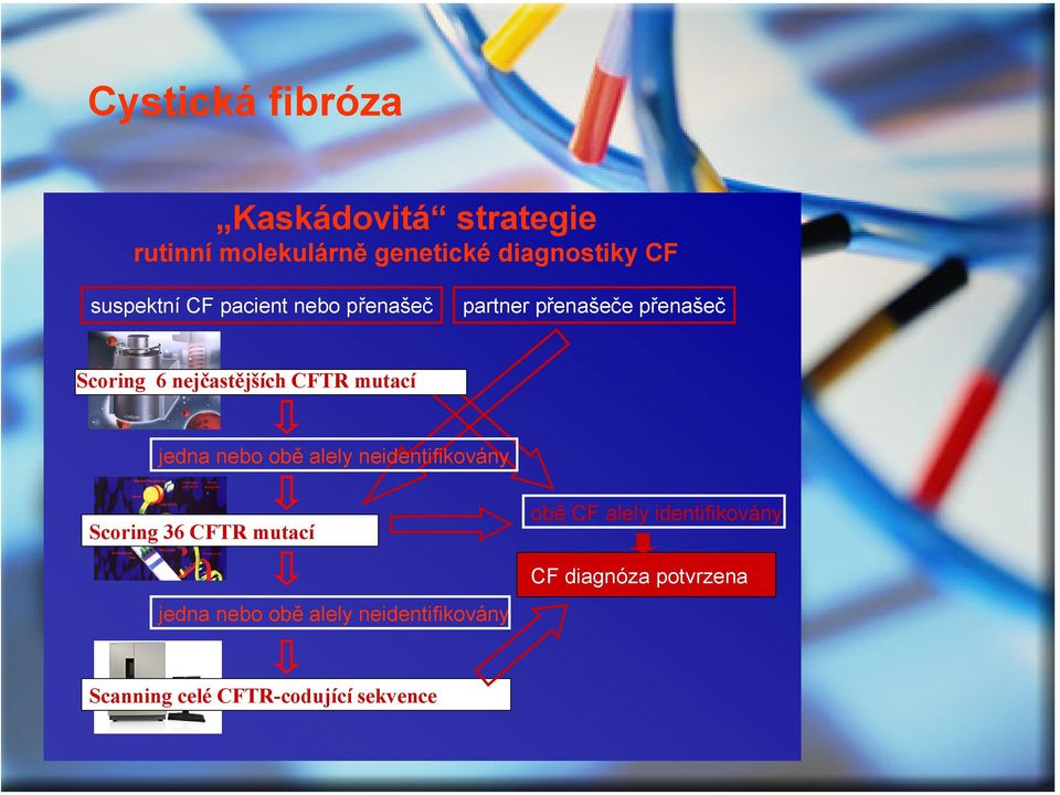 mutací jedna nebo obě alely neidentifikovány Scoring 36 CFTR mutací jedna nebo obě alely