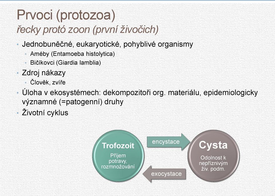 Úloha v ekosystémech: dekompozitoři org.