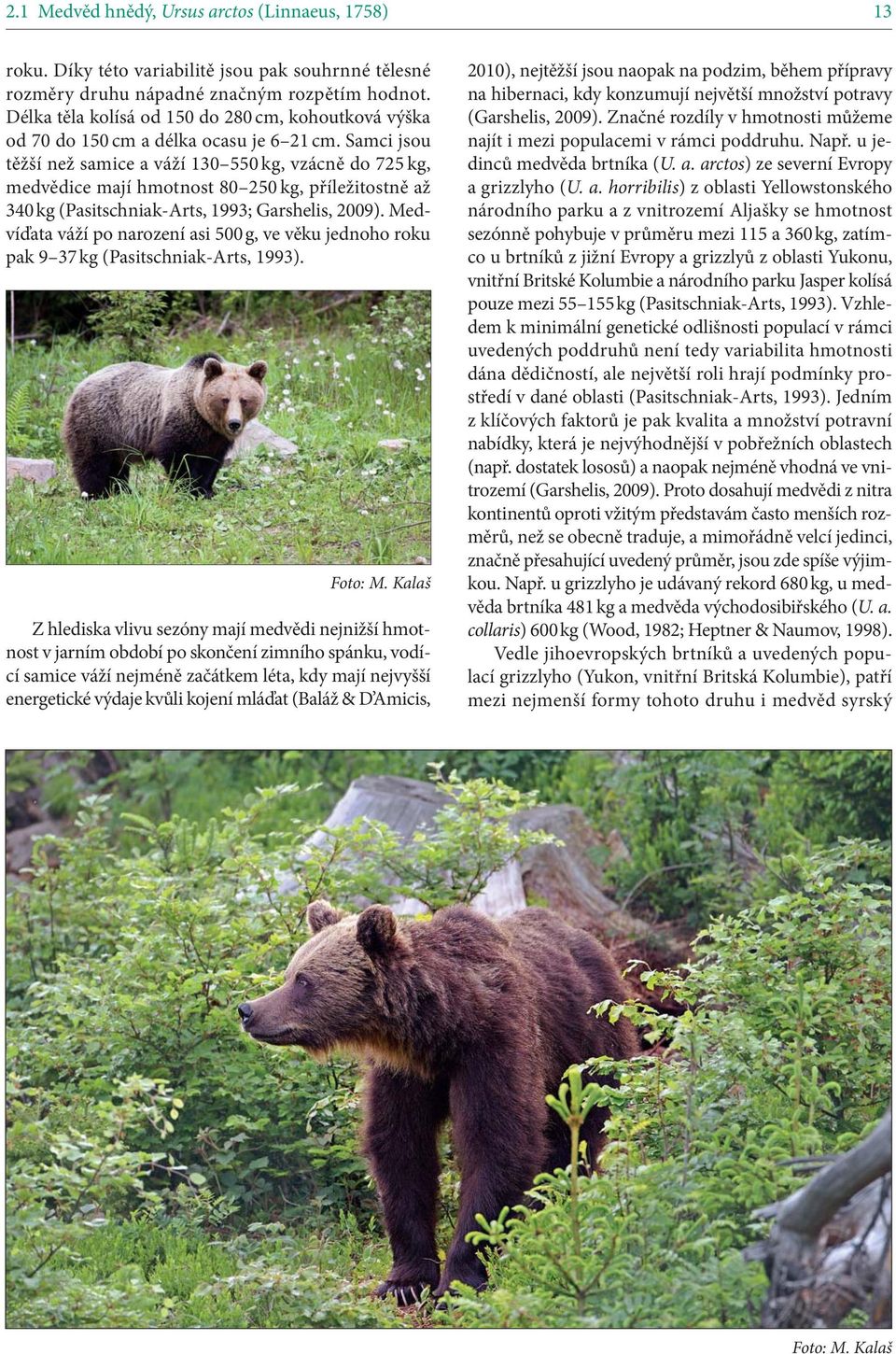 Samci jsou těžší než samice a váží 130 550 kg, vzácně do 725 kg, medvědice mají hmotnost 80 250 kg, příležitostně až 340 kg (Pasitschniak-Arts, 1993; Garshelis, 2009).