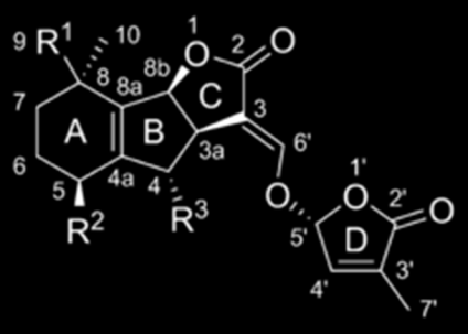 Terpenoidní laktony ABC kruh spojený