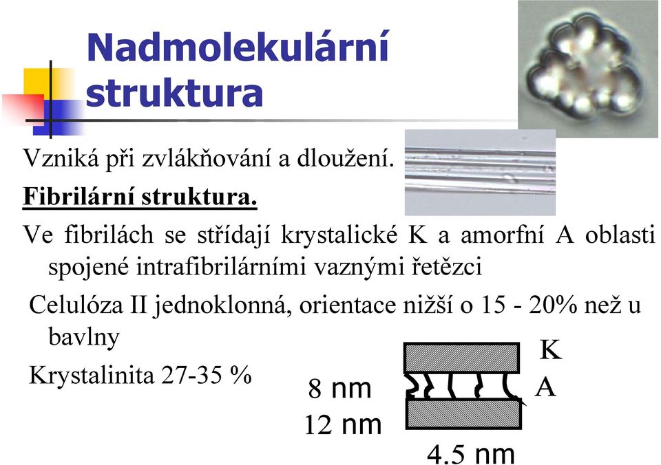 Ve fibrilách se střídají krystalické K a amorfní A oblasti spojené