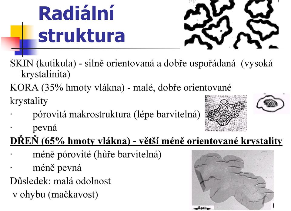 makrostruktura (lépe barvitelná) pevná DŘEŇ (65% hmoty vlákna) - větší méně orientované