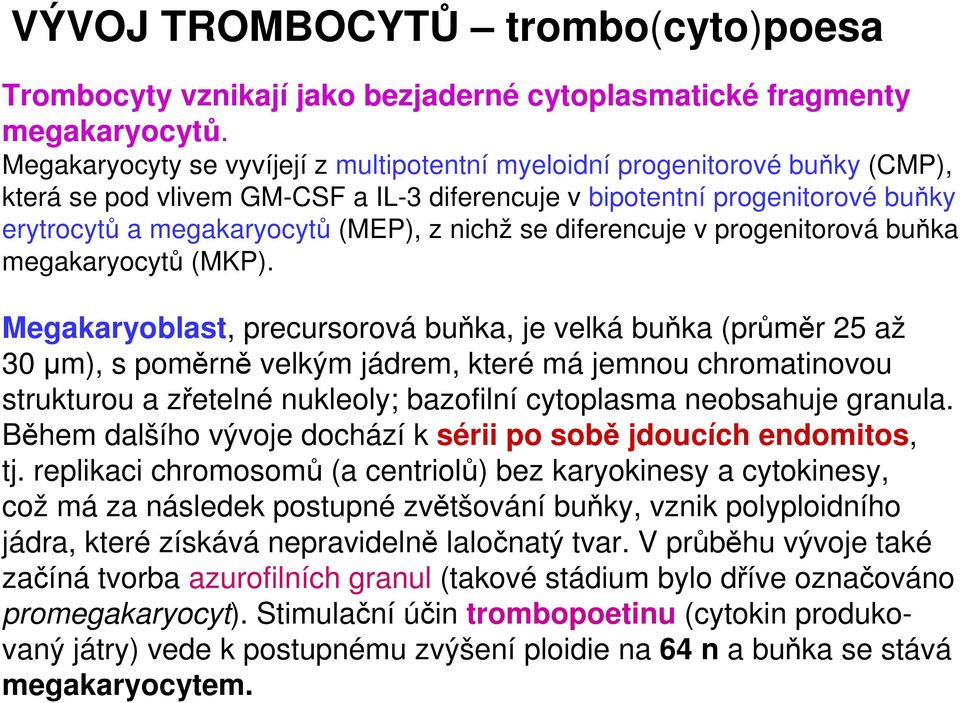 se diferencuje v progenitorová buňka megakaryocytů (MKP).