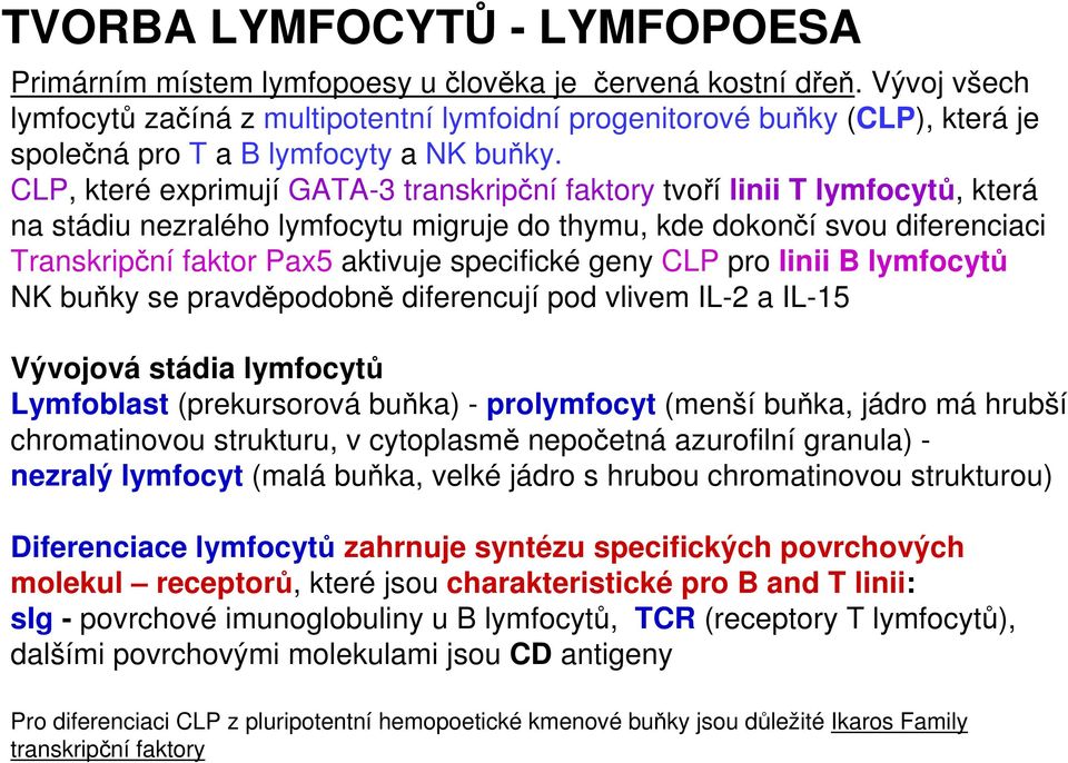 CLP, které exprimují GATA-3 transkripční faktory tvoří linii T lymfocytů, která na stádiu nezralého lymfocytu migruje do thymu, kde dokončí svou diferenciaci Transkripční faktor Pax5 aktivuje