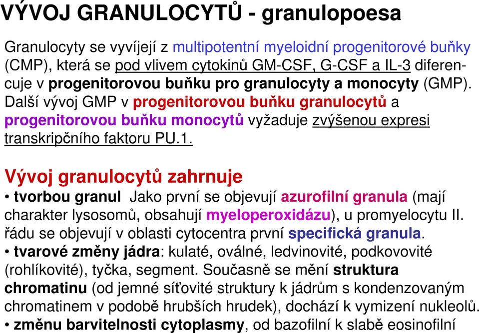 Vývoj granulocytů zahrnuje tvorbou granul Jako první se objevují azurofilní granula (mají charakter lysosomů, obsahují myeloperoxidázu), u promyelocytu II.