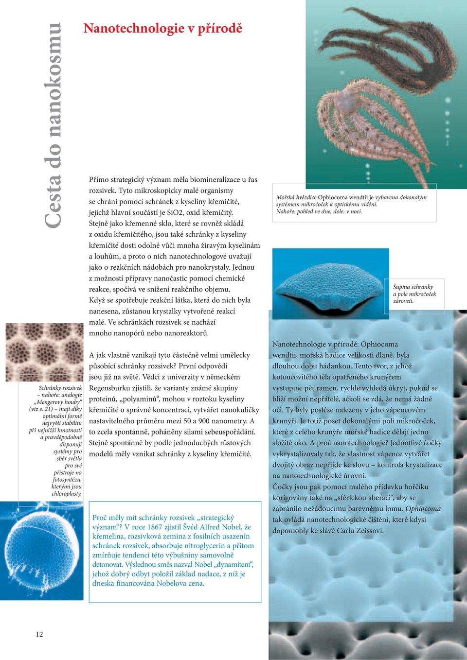 Nanotechnologie v přírodě Přímo strategický význam měla biomineralizace u řas rozsivek.