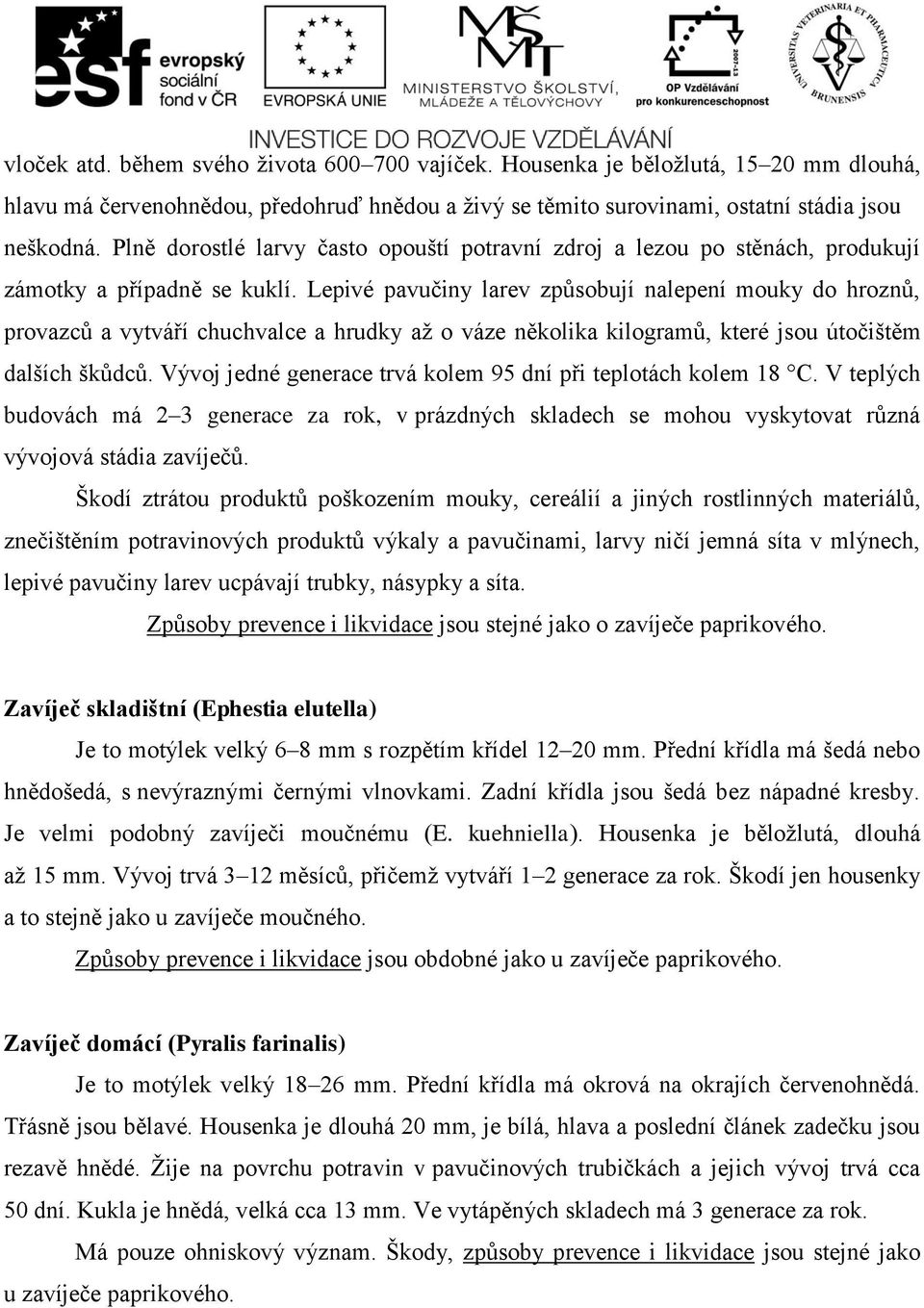 Lepivé pavučiny larev způsobují nalepení mouky do hroznů, provazců a vytváří chuchvalce a hrudky až o váze několika kilogramů, které jsou útočištěm dalších škůdců.