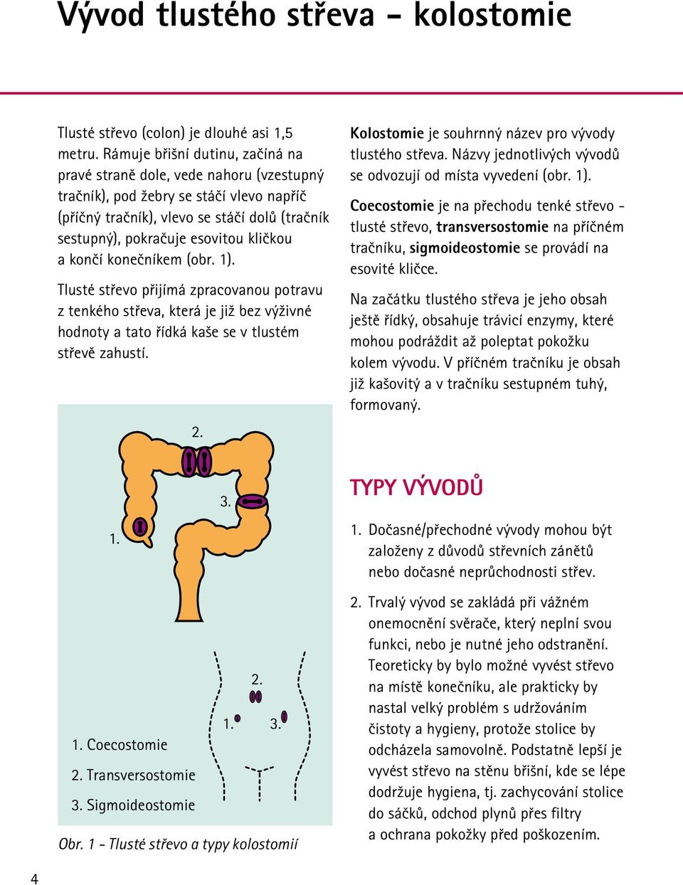 kličkou a končí konečníkem (obr. 1). Tlusté střevo přijímá zpracovanou potravu z tenkého střeva, která je již bez výživné hodnoty a tato řídká kaše se v tlustém střevě zahustí. 2.