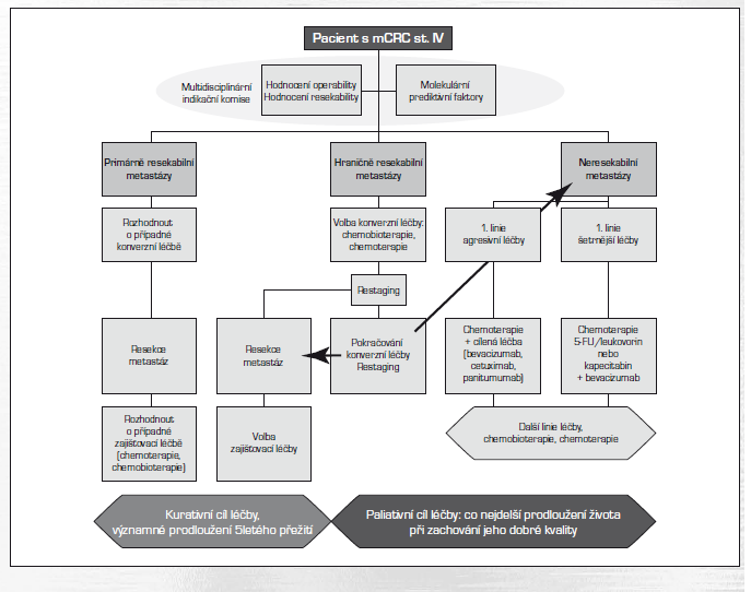 Stadium IV (jakékoliv T, jakékoli N, M1a, M1b) + lokálně pokročilé inoperabilní onemocnění Systémová paliativní chemoterapie: Monoterapie nebo kombinovaná léčba (viz schémata).