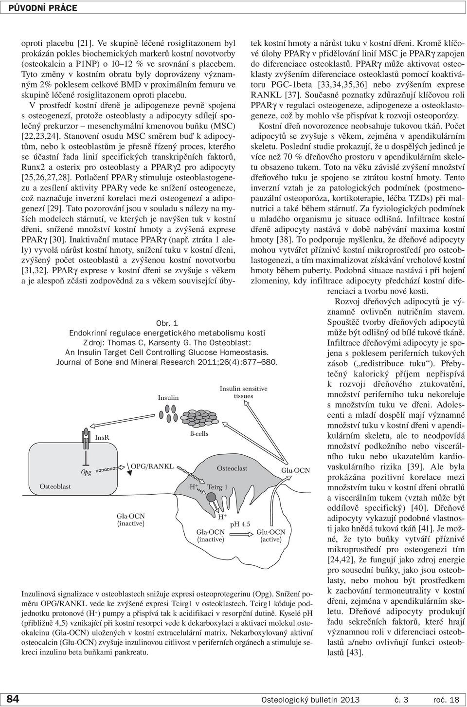 Osteoblast Opg InsR Insulin OPG/RANKL Gla-OCN (inactive) ß-cells Insulin sensitive tissues Inzulinová signalizace v osteoblastech snižuje expresi osteoprotegerinu (Opg).