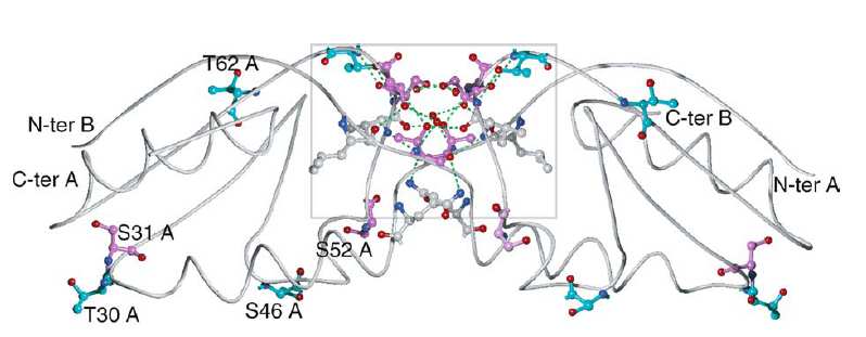 Souhrn NMR krystalografie MQ/MAS NMR anorganické systémy 05 20 t1 +3 +2 +1 0 1 2 3 Cross-polarizace 90 ±y ±± 1H: 13 C: 90 -sel.