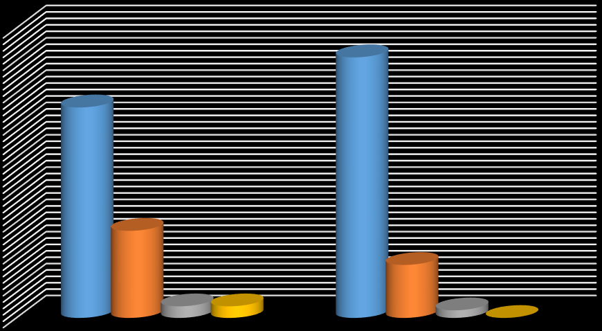 Graf 8 Jednotlivé názvy fází ošetřovatelského procesu 90,0% 80,0% 70,0% 60,0% 50,0% 40,0% 30,0% 20,0% 10,0% 0,0% 65,5% 27,3% středoškolské vzdělání 81,0% 16,6% 3,6% 3,6% 2,4% 0,0% vyšší odborné a