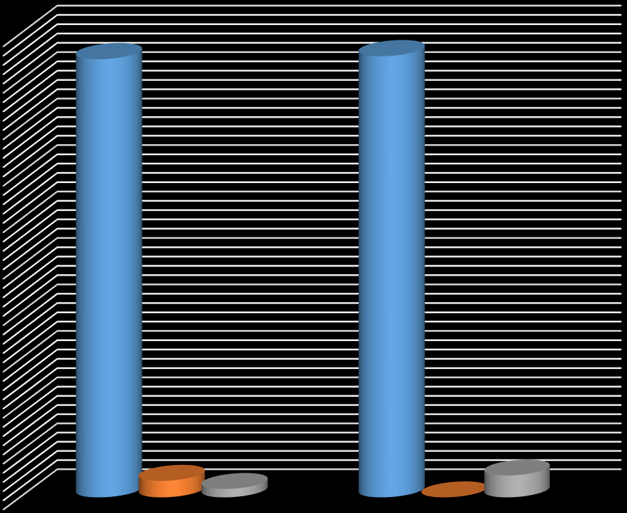 Graf 18 Poskytujete svým klientům individuální ošetřovatelskou péči 100,0% 94,6% 95,2% 90,0% 80,0% 70,0% 60,0% 50,0% 40,0% 30,0% 20,0% 10,0% 0,0% 3,6% 1,8% středoškolské vzdělání 0,0% 4,8% vyšší