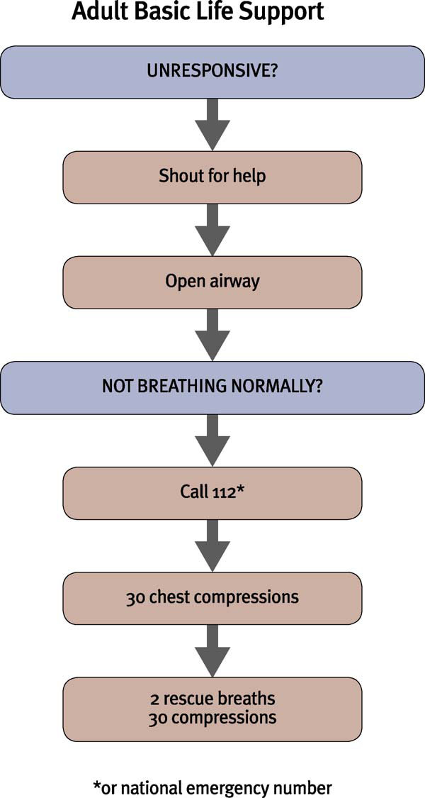 News BLS If your initial rescue breath does not make the chest rise as in normal breathing, then before your next attempt: look into the victim s mouth and remove any obstruction; recheck that there