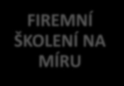 Semináře a konference CzechTrade ATRAKTIVNÍ AKCE PRO ČESKÉ EXPORTÉRY S TÉMATIKOU MEZINÁRODNÍHO OBCHODU ODBORNÉ SEMINÁŘE TERITORIÁLNÍ SEMINÁŘE EXPORTNÍ KONFERENCE FIREMNÍ ŠKOLENÍ NA MÍRU Příklady