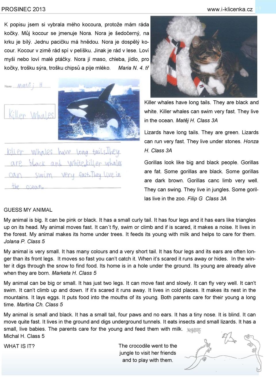 tř GUESS MY ANIMAL Killer whales have long tails. They are black and white. Killer whales can swim very fast. They live in the ocean. Matěj H. Class 3A Lizards have long tails. They are green.