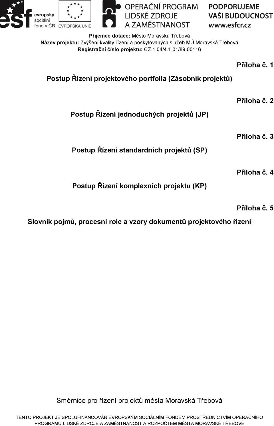 2 Postup Řízení standardních projektů (SP) Příloha č.