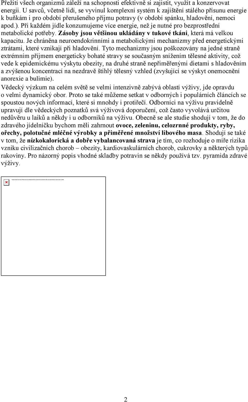 Při každém jídle konzumujeme více energie, než je nutné pro bezprostřední metabolické potřeby. Zásoby jsou většinou ukládány v tukové tkáni, která má velkou kapacitu.