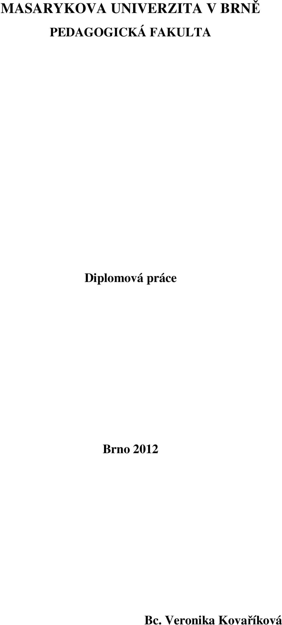 Diplomová práce Brno